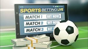 The Exciting World of Habtamu Bet The Exciting World of Habtamu Bet