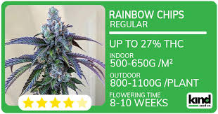 Exploring Cannabis Seeds Delaware A Comprehensive Guide Exploring Cannabis Seeds Delaware A Comprehensive Guide