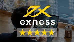 Understanding Exness Trading Volume Key Insights and Trends