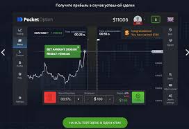 Pocket Option Down Understanding the Issues and Solutions